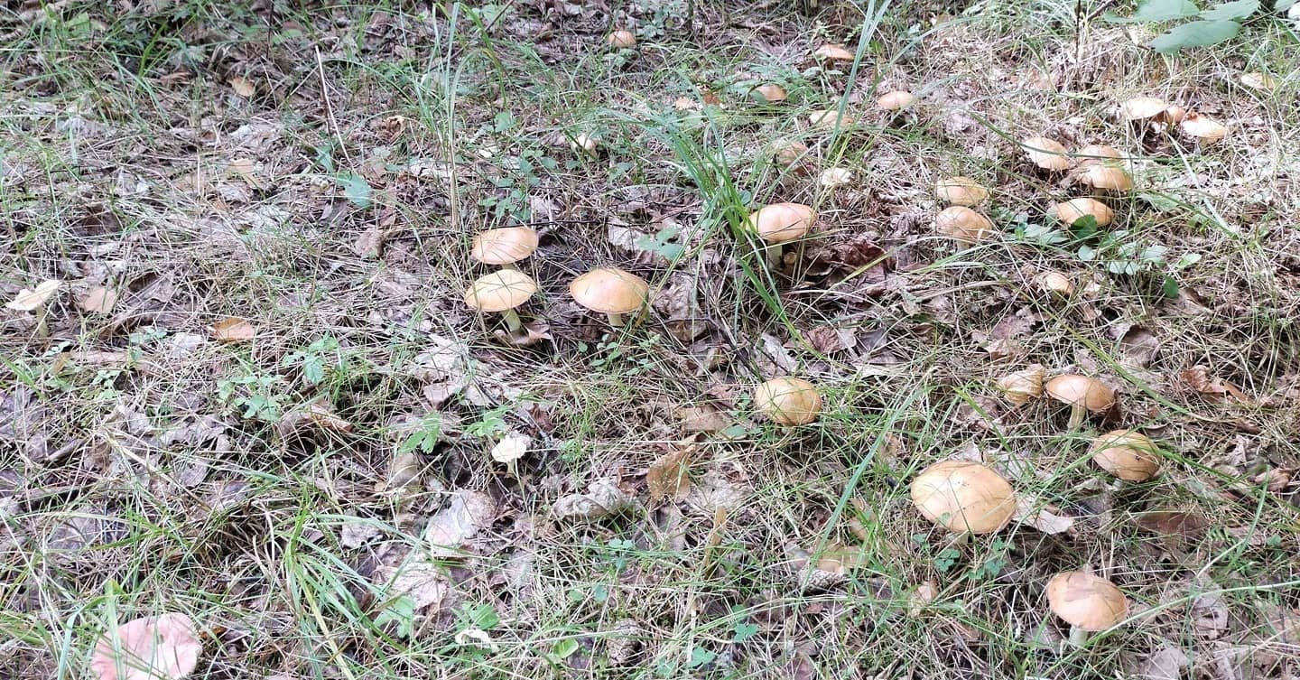 !!!  !!! ####### - 2