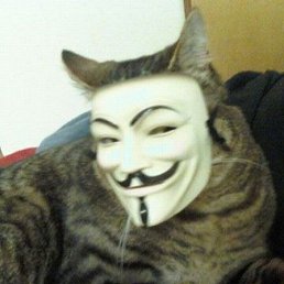 ���� ����, ������, 38 ��� - ��������� 12 ������� 2021