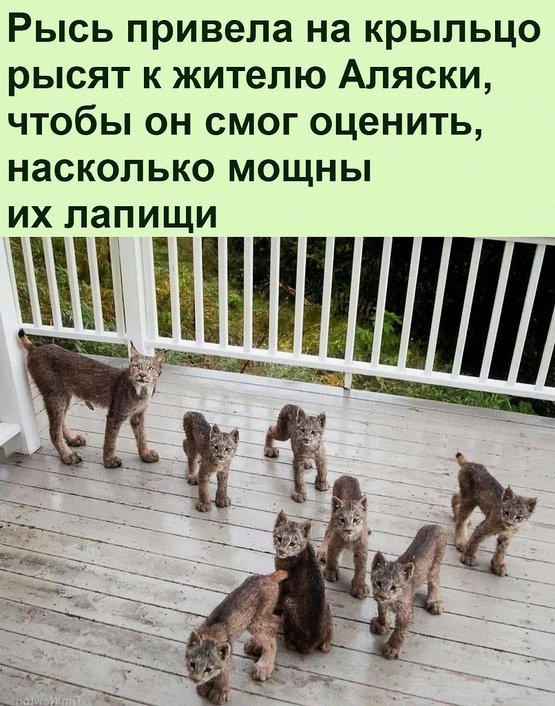   :D - 22  2021  12:27