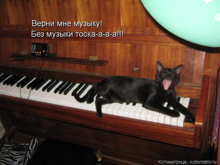 Куда- то исчез (уже несколько дней) значок музыки на верхней панели сайта в полной версии для ПК на ...