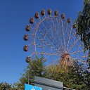 ���� Maksim, �����������, 49 ��� - ��������� 28 ������� 2021 � ������ ���� ����������