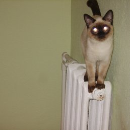 ��������, ��������, 58 ���