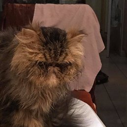 Anatoliy, ��������������, 50 ���