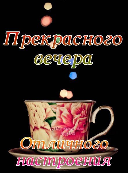   ,    . - 8  2021  19:13 - 4