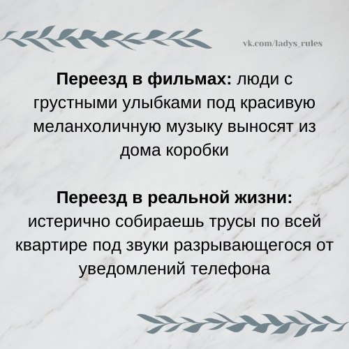 The Lady - 14 ��� 2021 � 14:28