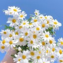 ���� �������, �������-���������, 55 ��� - ��������� 5 ������� 2021 � ������ ���� ����������