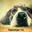 ���� Gemini, ��������, 64 ���� - ��������� 15 ������� 2021 � ������ ������ ��������