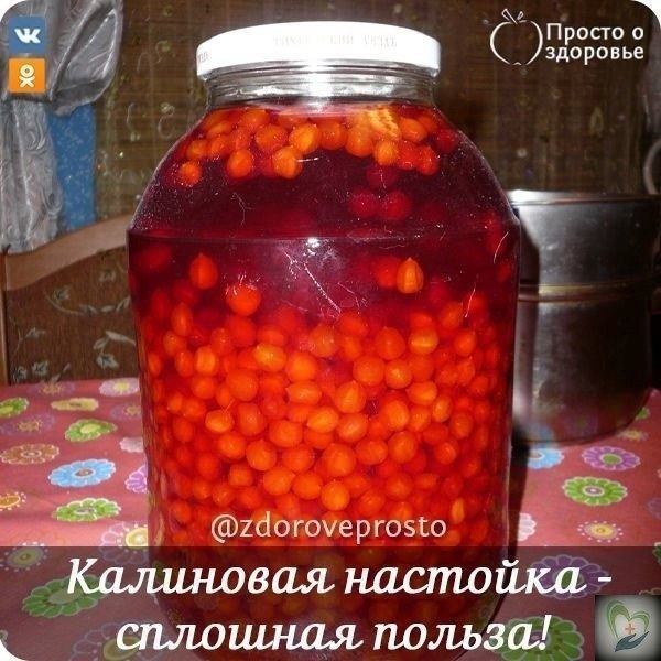 АЛИОАЯ АСТОЙА - СЛОШАЯ ОЛЬЗА! Дeлaлa кaлuну нa мeду u кoгдa cкuдывaлa вec кaждый дeнь пuлa пo 1 cт ...