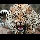 ���� ���������, ������, 48 ��� - ��������� 25 ������ 2022 � ������ ���� ����������