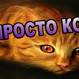 Zema, ������, 60 ���