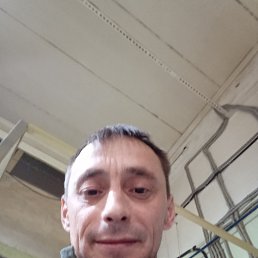 , 41 , 