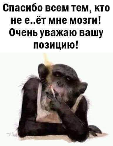  - 21  2021  19:36