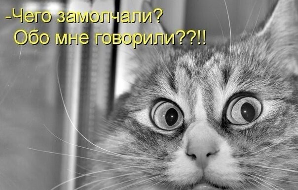    - 10  2021  12:19