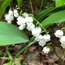 ���� Irin@, ��������� - ��������� 16 ������� 2021 � ������ �2021�