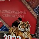 ���� �������, ���������, 62 ���� - ��������� 22 ������ 2022 � ������ �2022�