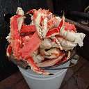 ���� ����, ���������, 42 ���� - ��������� 19 ������� 2021 � ������ ���� ����������