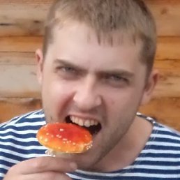 ������, ���������, 40 ���