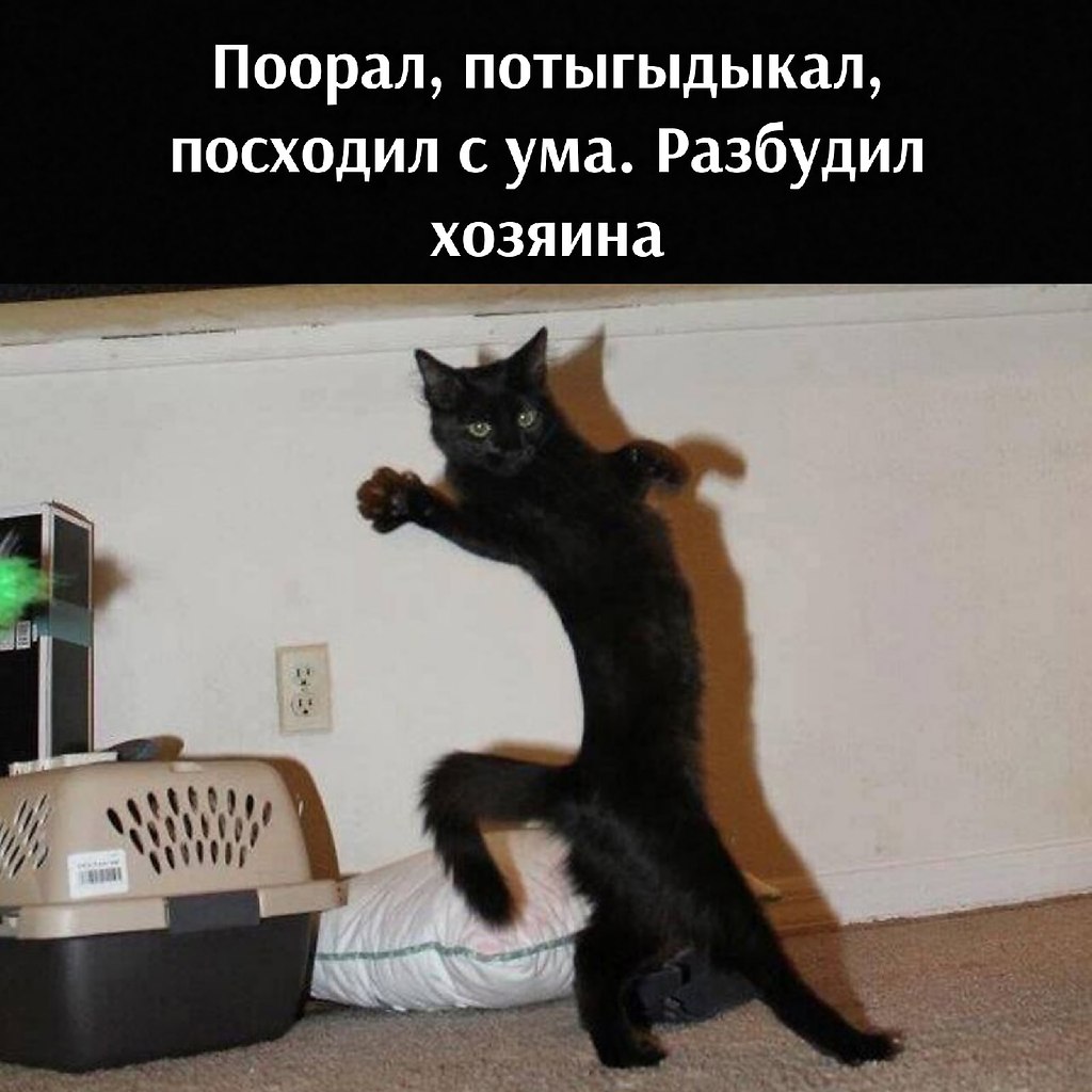       - 17  2021  05:38 - 2