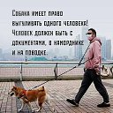 ���� ������, �������, 48 ��� - ��������� 6 ������ 2021