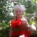 ���� ������, ����, 73 ���� - ��������� 2 ������ 2022 � ������ ���� ����������