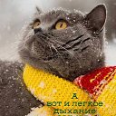 ���� �������, �����������, 66 ��� - ��������� 21 ������� 2021 � ������ ���� ����������