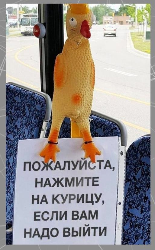 Некоторые люди используют свой мозг по максимуму.Потенциал! - 3