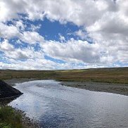 ������, 46 ���, �����������