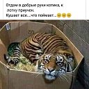 ���� �����, �������, 50 ��� - ��������� 16 ������ 2021 � ������ ���� ����������