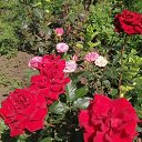 ���� �����, ����-����������� - ��������� 30 ������ 2021 � ������ ���� ����������