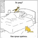 ���� �������, ������, 42 ���� - ��������� 2 ������ 2021 � ������ ���� ����������