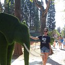 ���� ����, ����, 42 ���� - ��������� 12 ���� 2021 � ������ ���� ����������