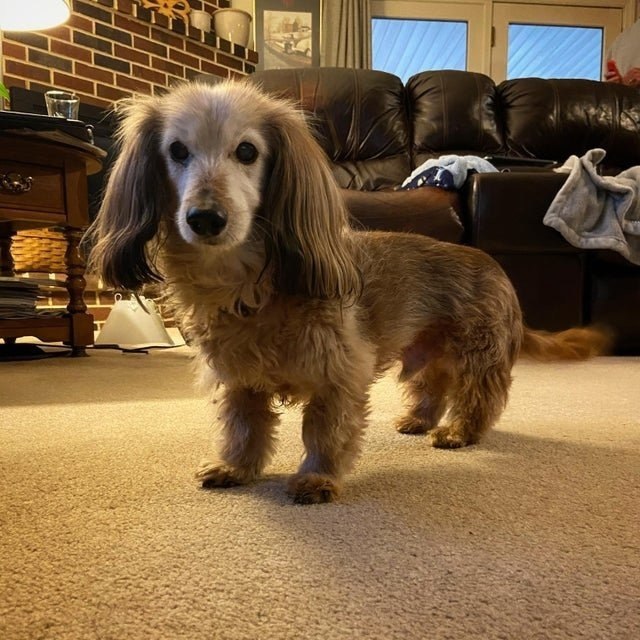  14,     !