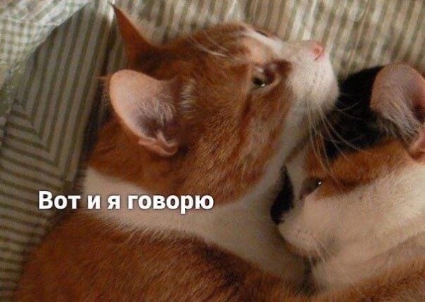     - 3