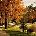 ���� ������, �������������-���������� - ��������� 9 ������� 2021 � ������ �� ������� �����...�