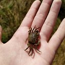 ������������ ������. �� ������� ������ ��������