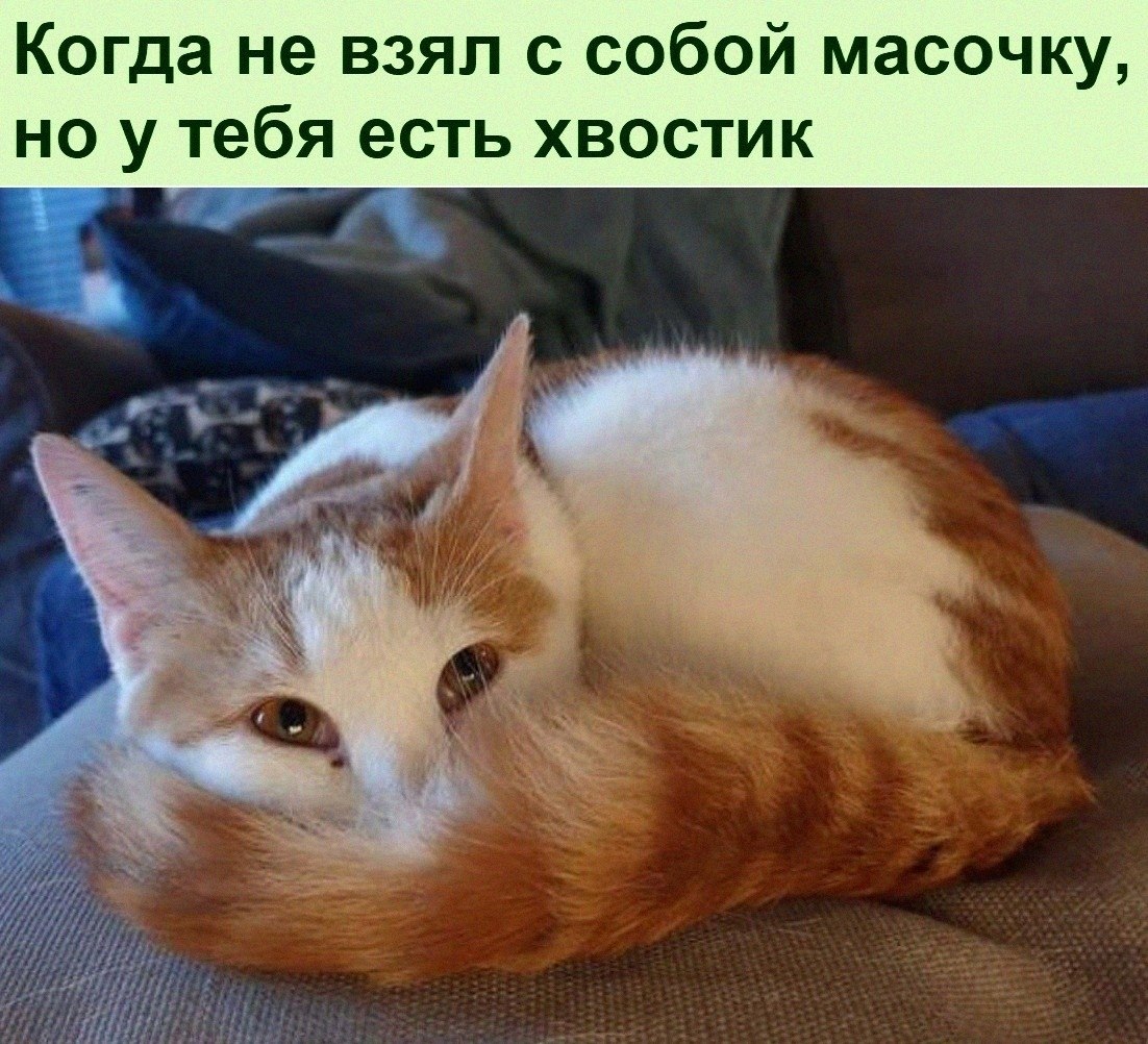   :D - 18  2022  06:29