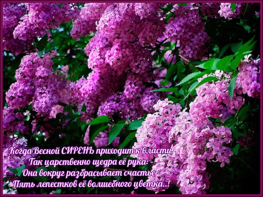   ,    . - 5  2021  15:24 - 7