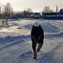 ���� ���������, ���������� �����, 55 ��� - ��������� 29 ������� 2021 � ������ ���� ����������