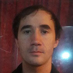 ������, ����-�����������, 44 ����