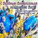 ���� ������, ��������, 61 ��� - ��������� 25 ������ 2021 � ������ ������ ��������
