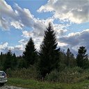 ���� Petr, �����, 63 ���� - ��������� 4 �������� 2021 � ������ ������ ��������
