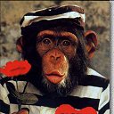 ���� ������, ���������, 55 ��� - ��������� 4 ���� 2021 � ������ ���� ����������