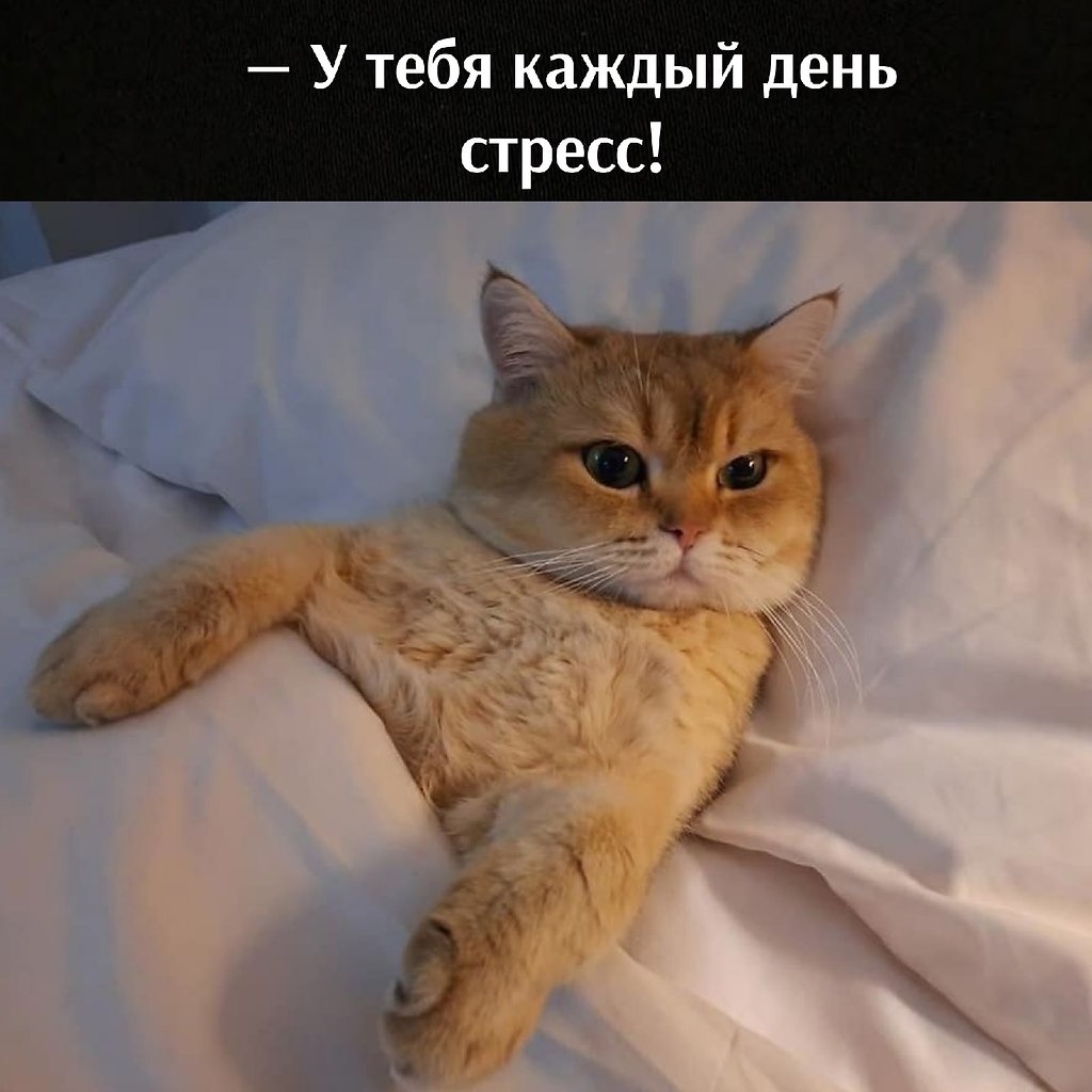       - 28  2021  19:02 - 3