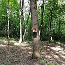 ���� �������, ����, 69 ��� - ��������� 27 �������� 2021