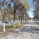���� �������, ���������, 44 ���� - ��������� 8 ���� 2021 � ������ �06.05.2021�
