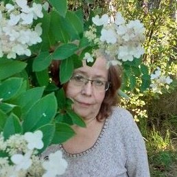 ����, �����-���������, 76 ���