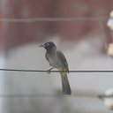 ���� Sezai, �����, 66 ��� - ��������� 14 ���� 2021 � ������ ������ ��������