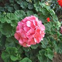 ���� �������, �����������, 73 ���� - ��������� 15 ������ 2021