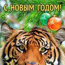 ���� Lina, ����� - ��������� 31 ������� 2021 � ������ ������ ��������