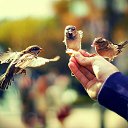 ���� �����, ������, 59 ��� - ��������� 8 ���� 2021 � ������ ������ ��������